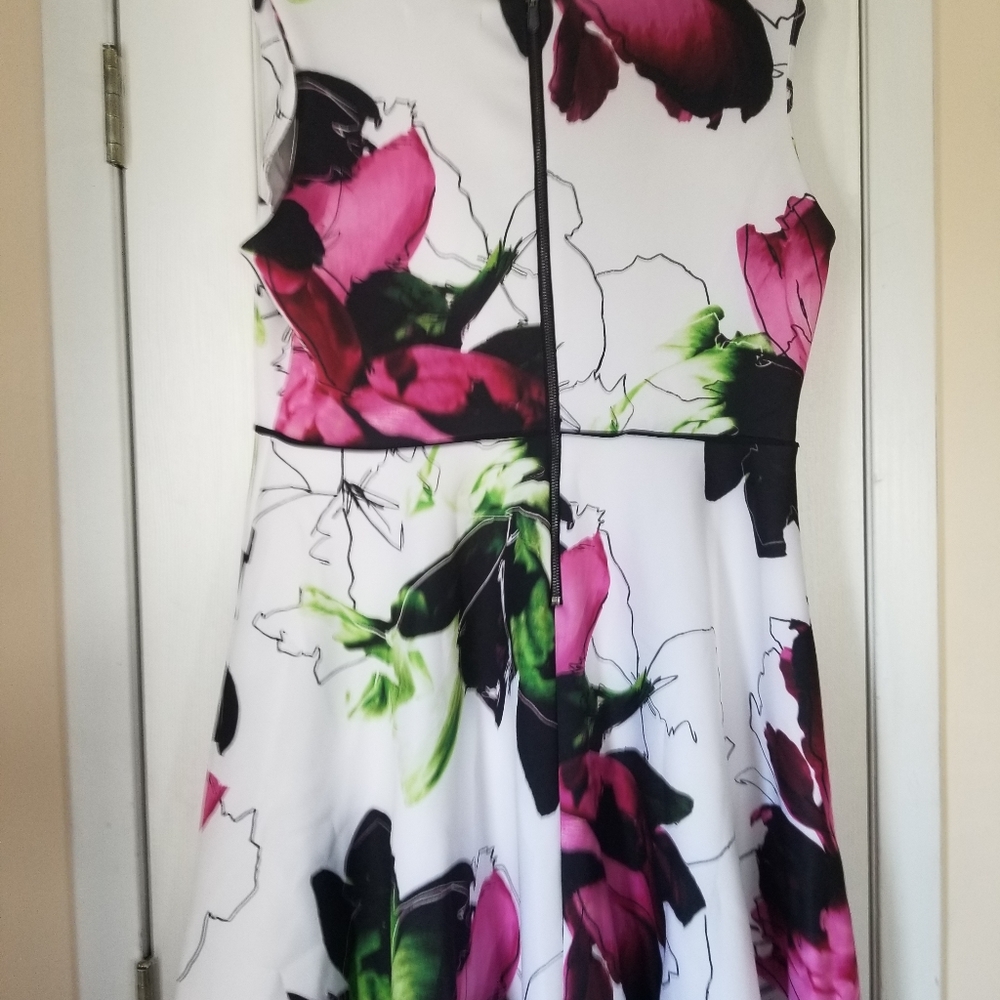 Reed for Target dress